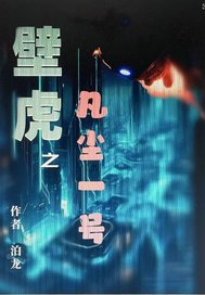 壁虎!之:凡尘一号