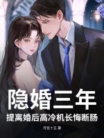 隐婚三年,提离婚后高冷机长悔断肠