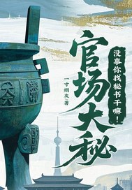 官场大秘:没事你找秘书干嘛!