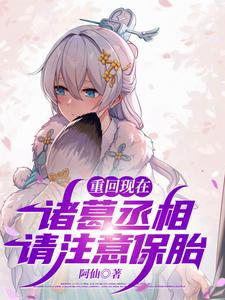 重回现在:诸葛丞相,请注意保胎